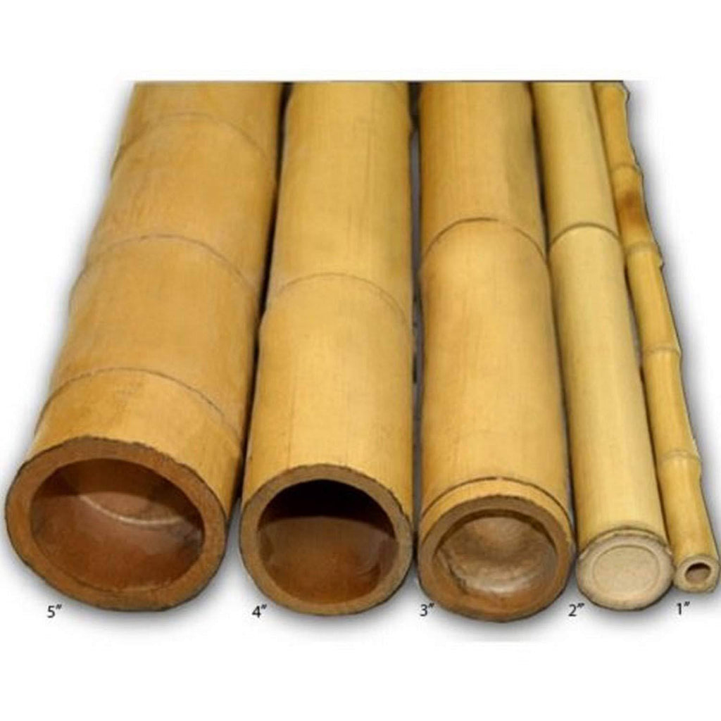Natural Bamboo Poles 2in x 8ft (10 Pieces) C868292