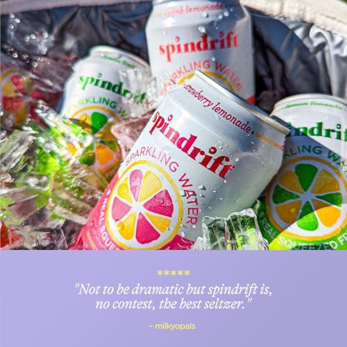4 Flavor Variety Pack Sparkling Water, 12 Fl Oz (Pack of 20) X148609