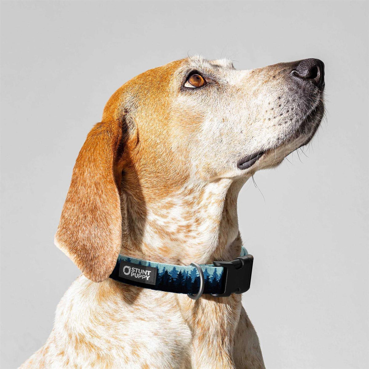 Pines Collar M53714