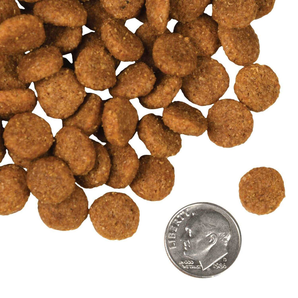 Salmon Dog Food L3059