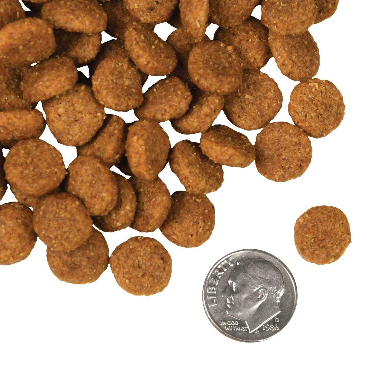 Salmon Dog Food L3059