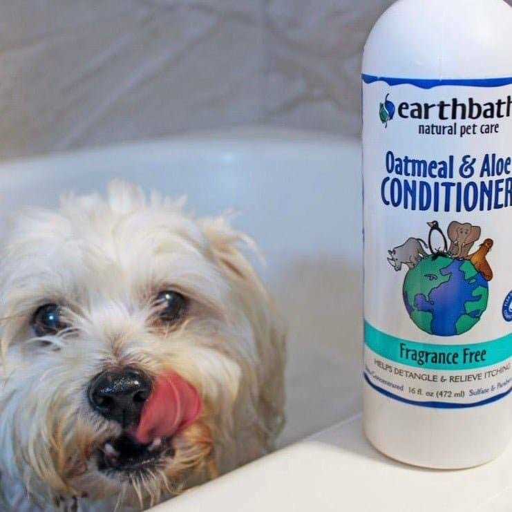 Oatmeal & Aloe Conditioner W559325