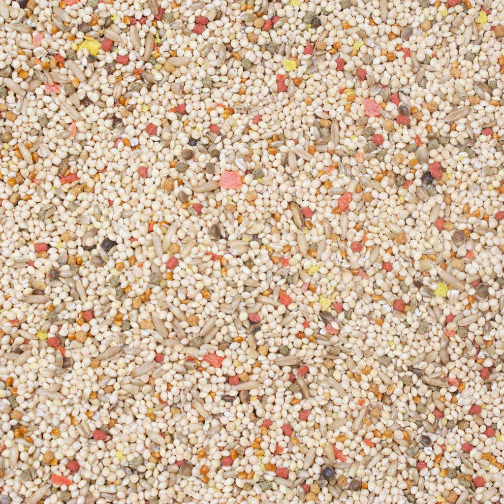 Parakeet Food C814