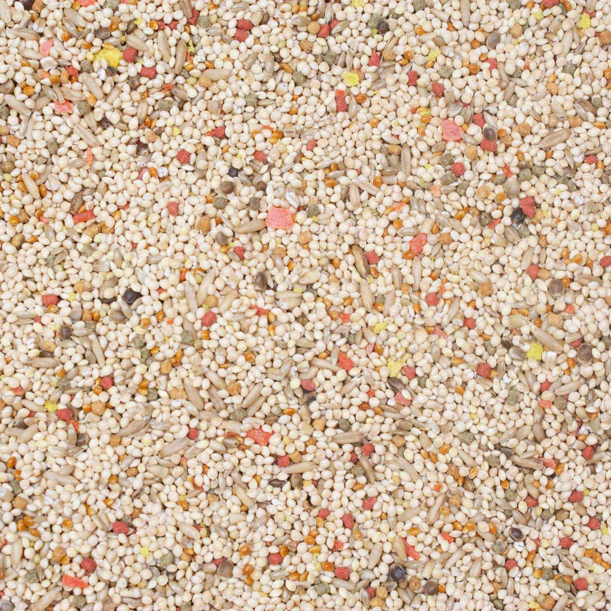 Parakeet Food C814