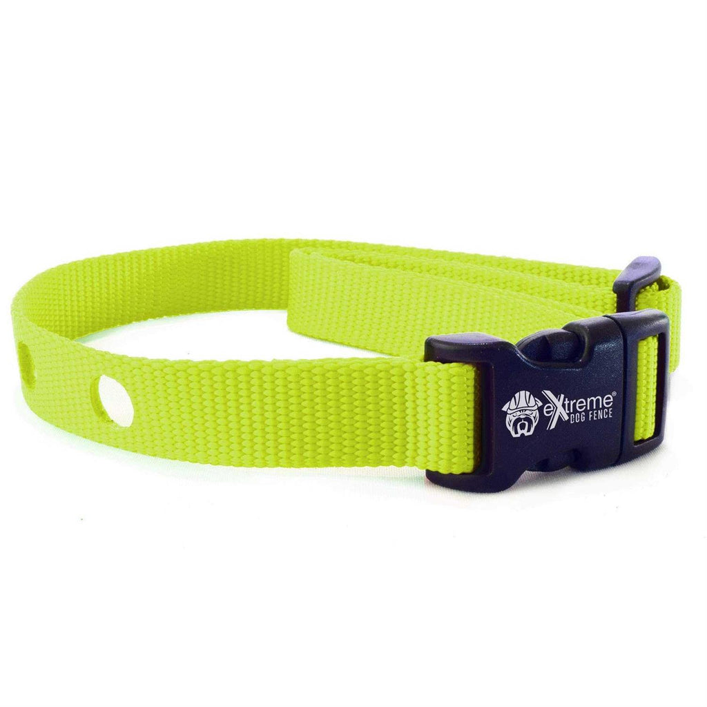Dog Collar Replacement Strap B463907