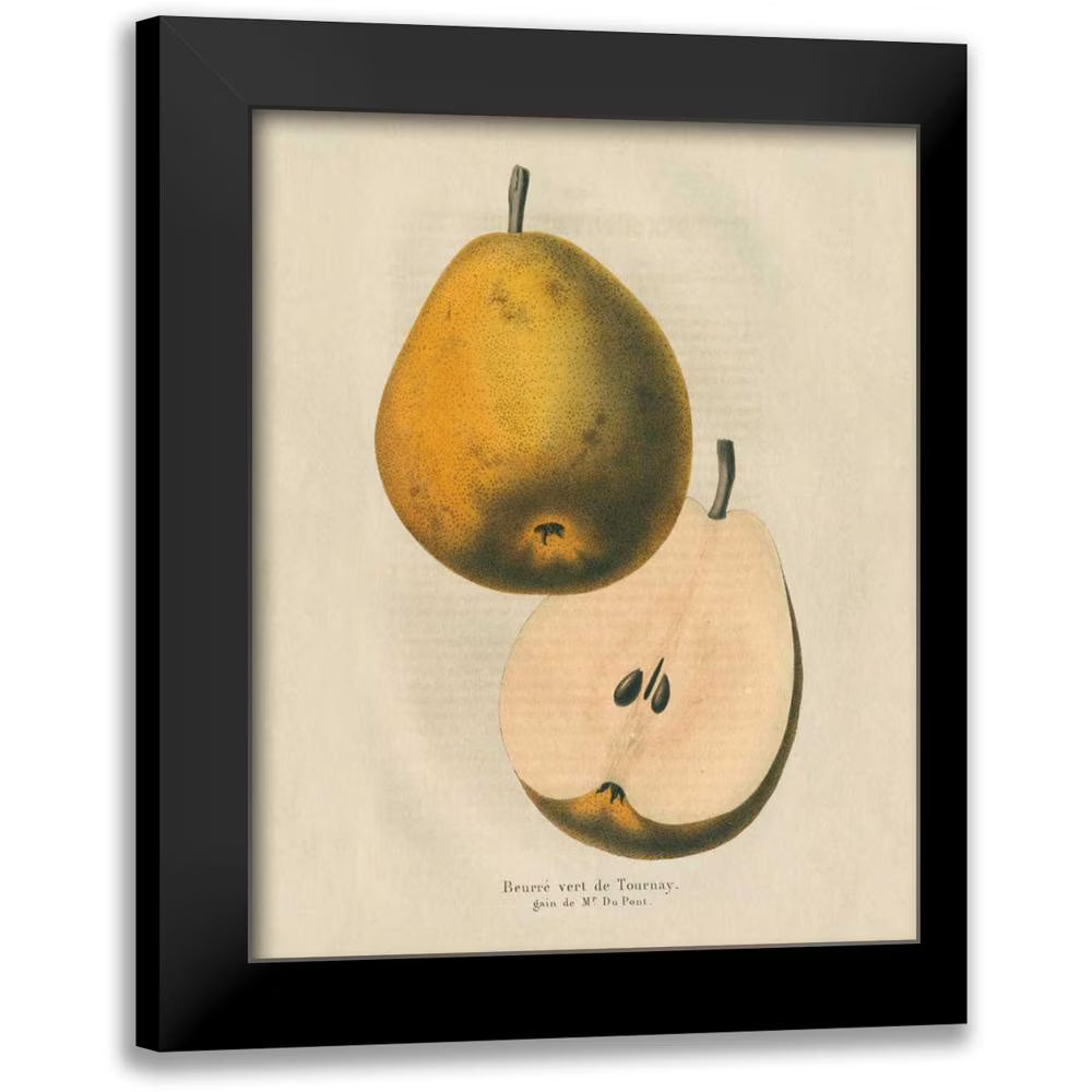 Black Modern Framed Museum Art Print Z8672