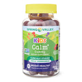 Ashwagandha Dietary Supplement Gummies, Mixed Berry, 60 Count H117062
