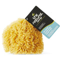 7 in. Natural Sea Sponge (Case of 6) J143684