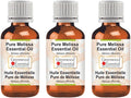 Melissa Essential Oil Steam Distilled 100ml X 3 P321