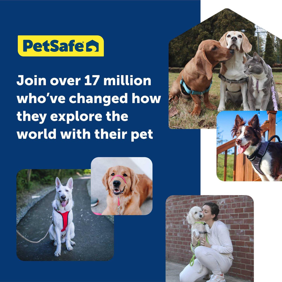 Headcollar G522378