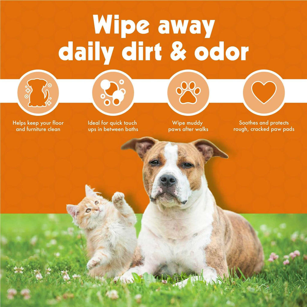 Pet Wipes 100 T325476
