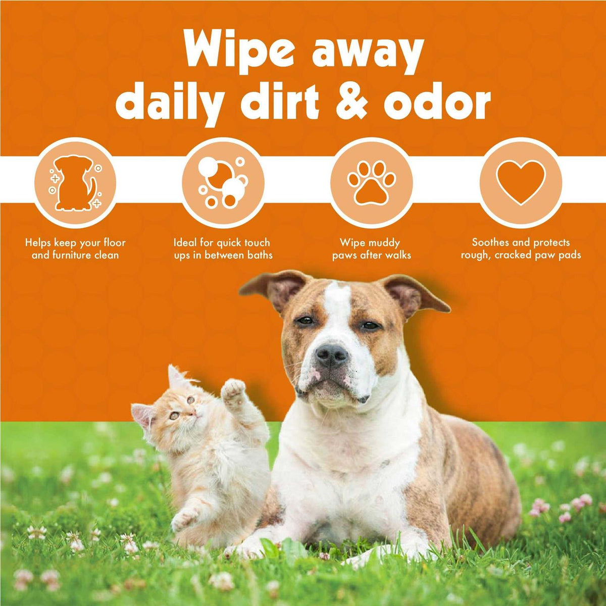 Pet Wipes 100 T325476