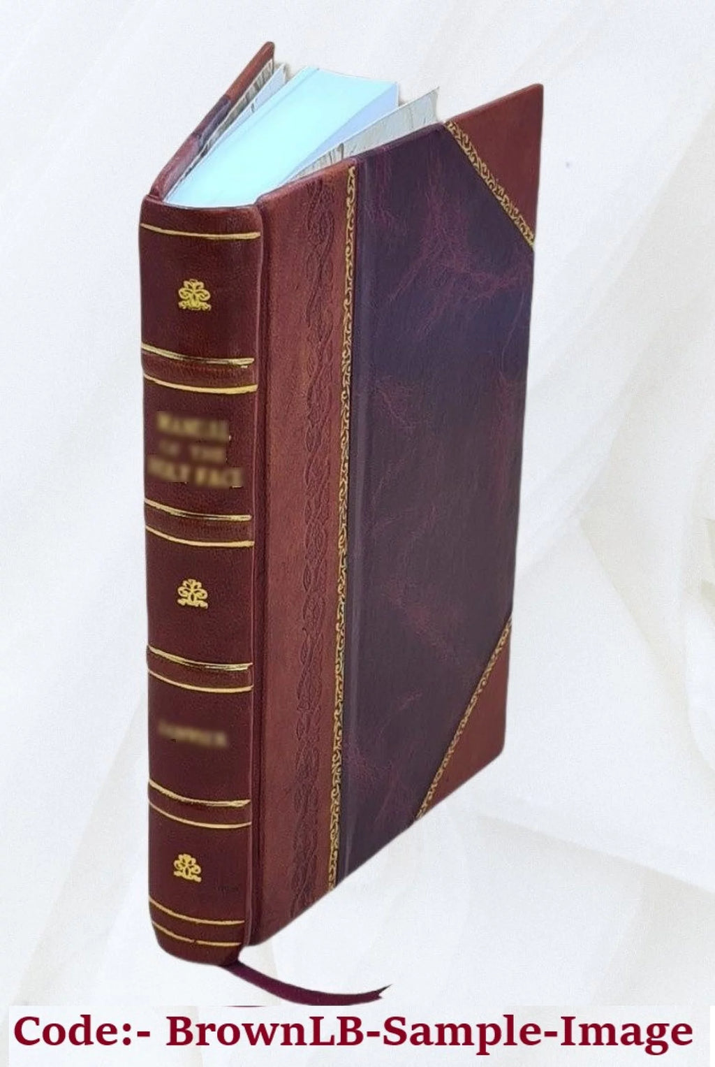 Leather Bound P577