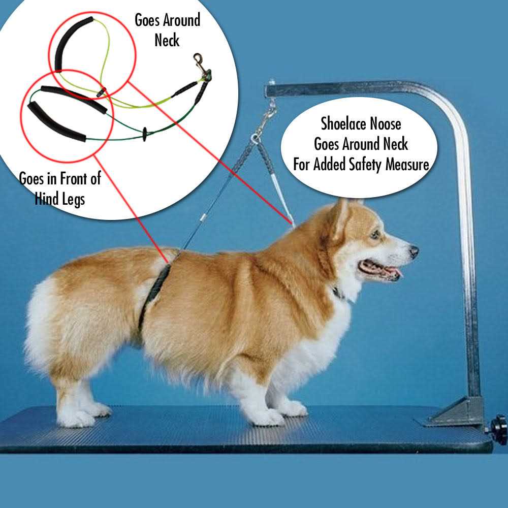 Dog Grooming Arm with Clamp and Grooming Loop M48366