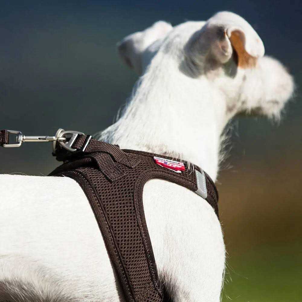 Air-Mesh Dog Harness J499