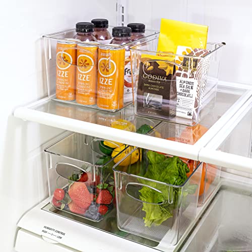 Clear Plastic Storage Bins with Handle, 8 Pack W94940
