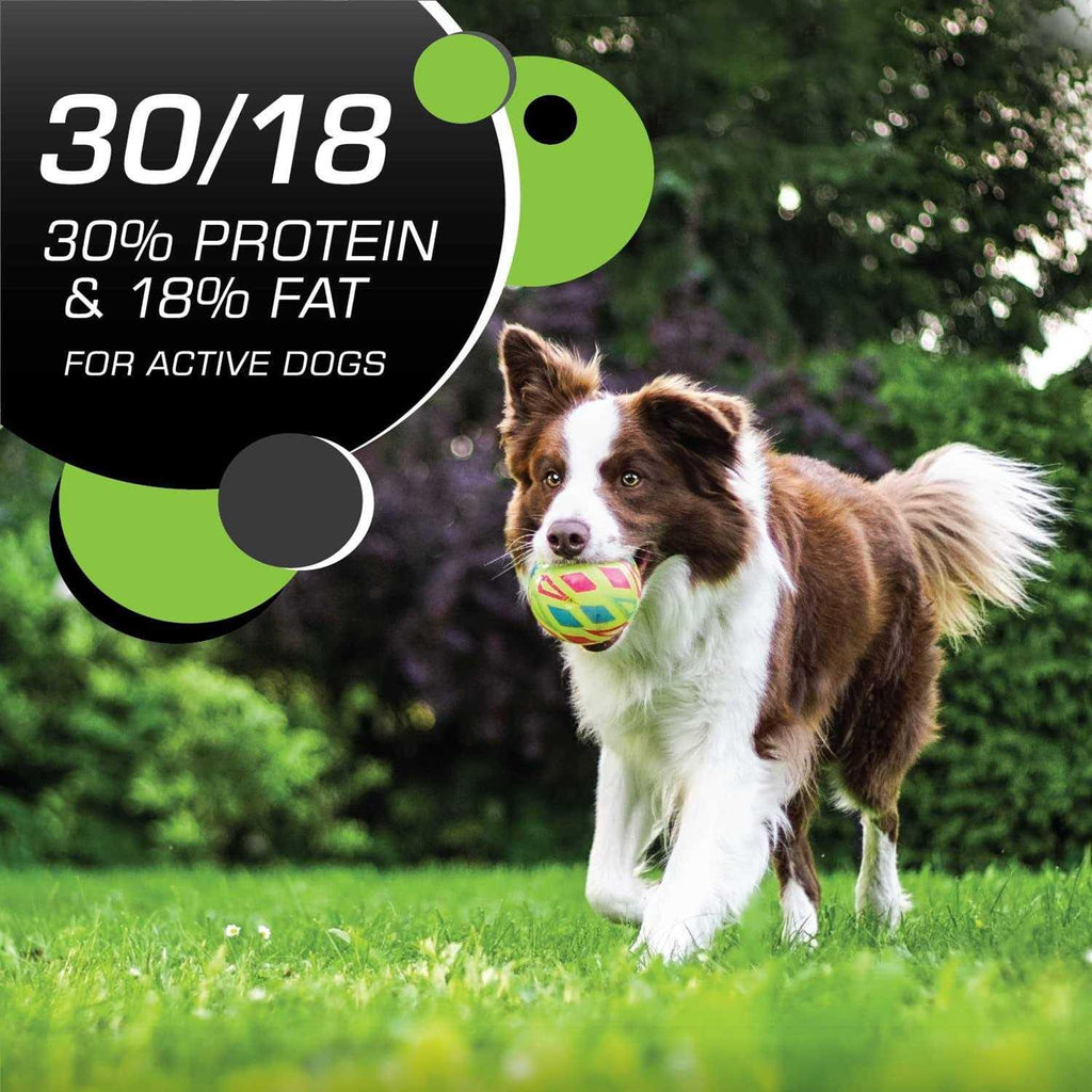 Chicken Turkey Dry Dog Food A130924