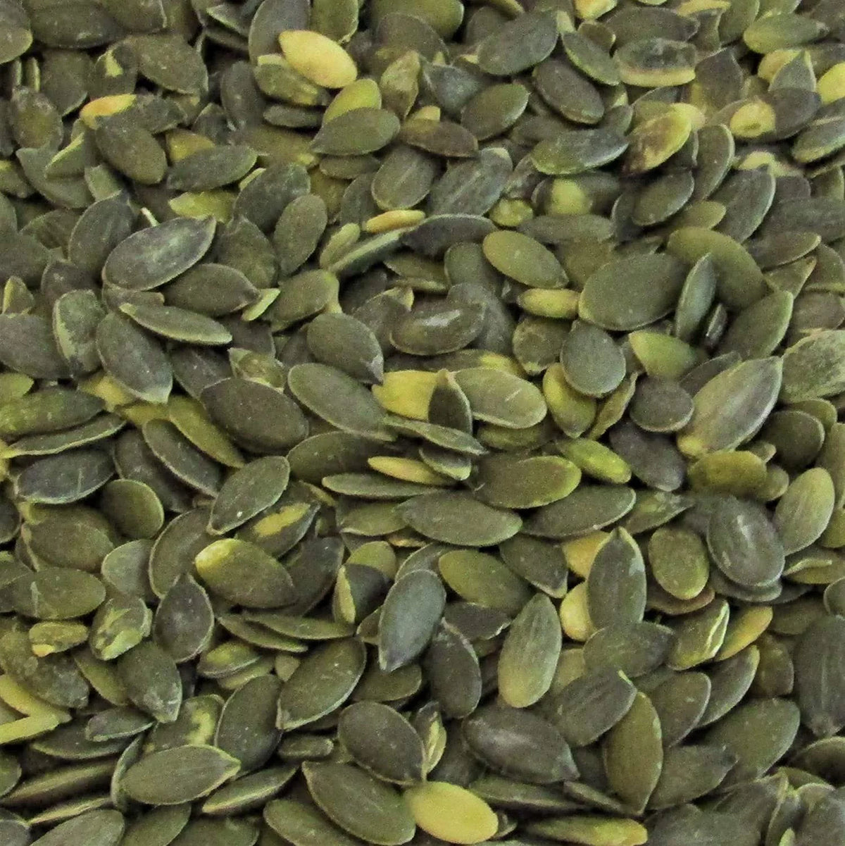 Toasted Unsalted Pumpkin Seed Kernels 40 Oz I319