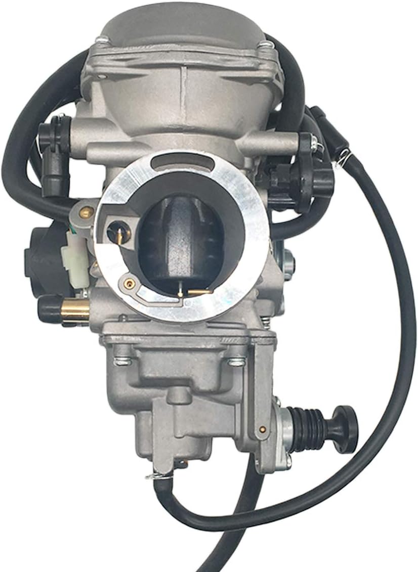 Carburetor for Honda TRX650 Rincon ATV, Pack of 2 Y7482