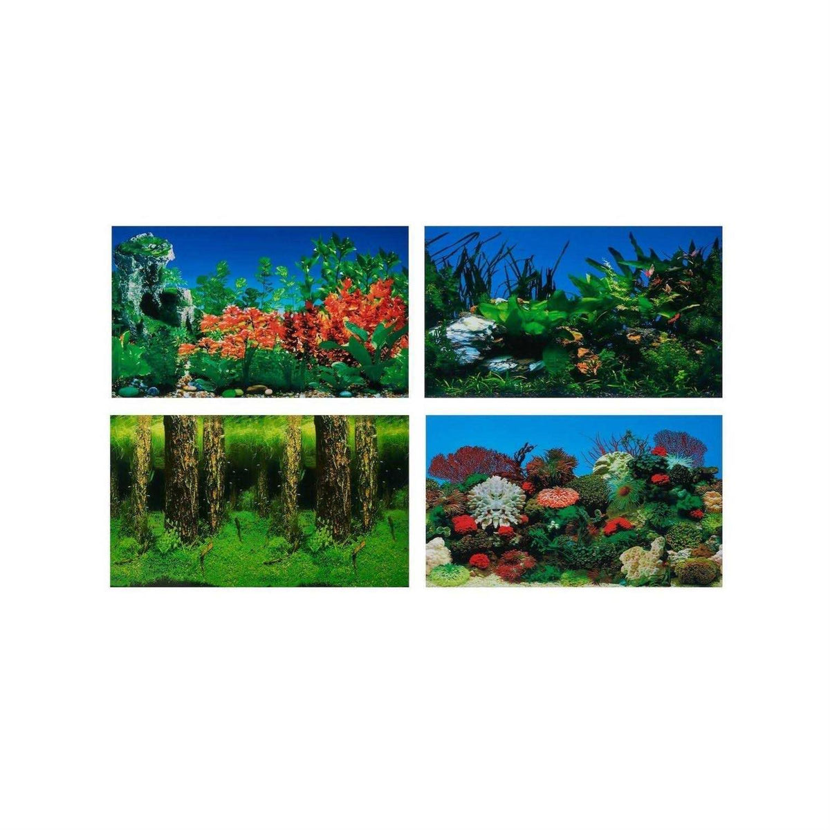 Aquarium Background Q9991