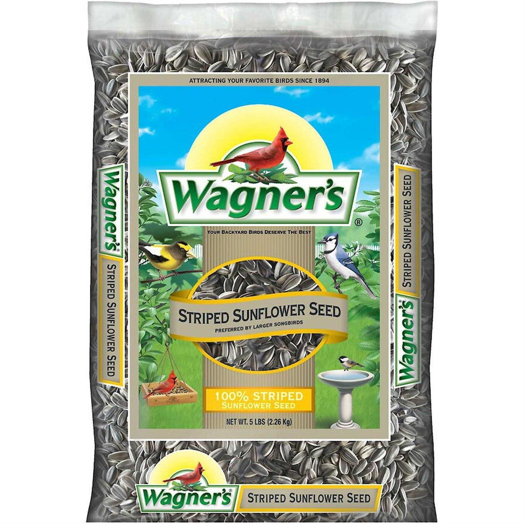 5 Lb Striped Sunflower Seed B170592