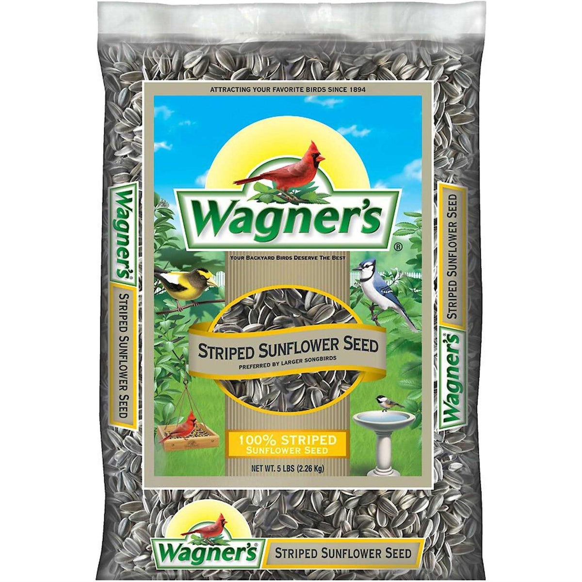 5 Lb Striped Sunflower Seed B170592