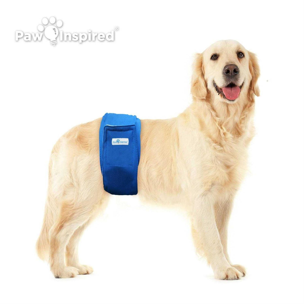 Washable Dog Belly Band N55784