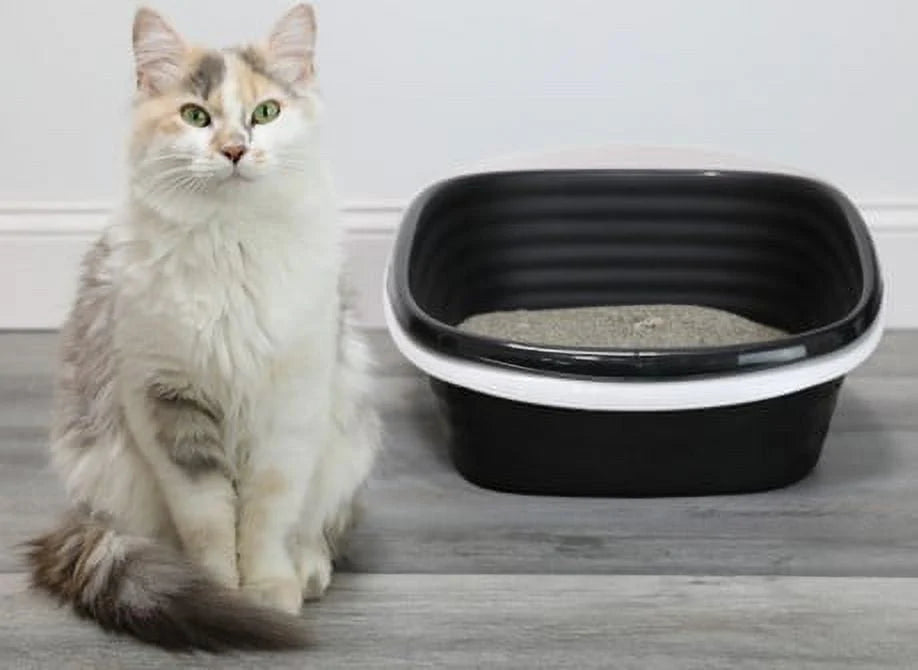 2 Open Top Plastic Cat Litter Pans and Tray, Large, Black J890