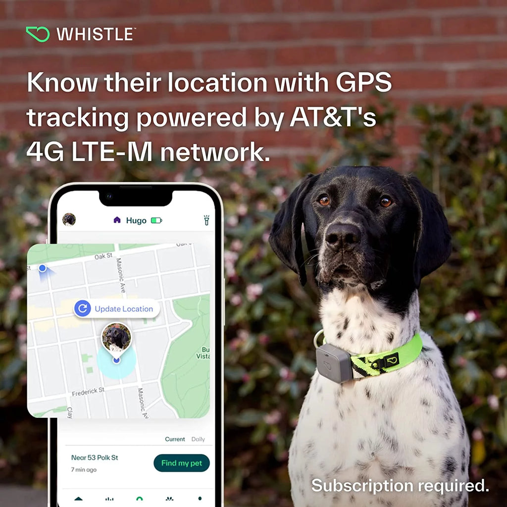 Dog GPS Tracking Device and Pet Health Monitoring System Grey X973345