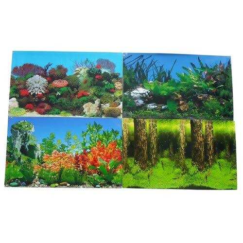 Aquarium Background Q9991